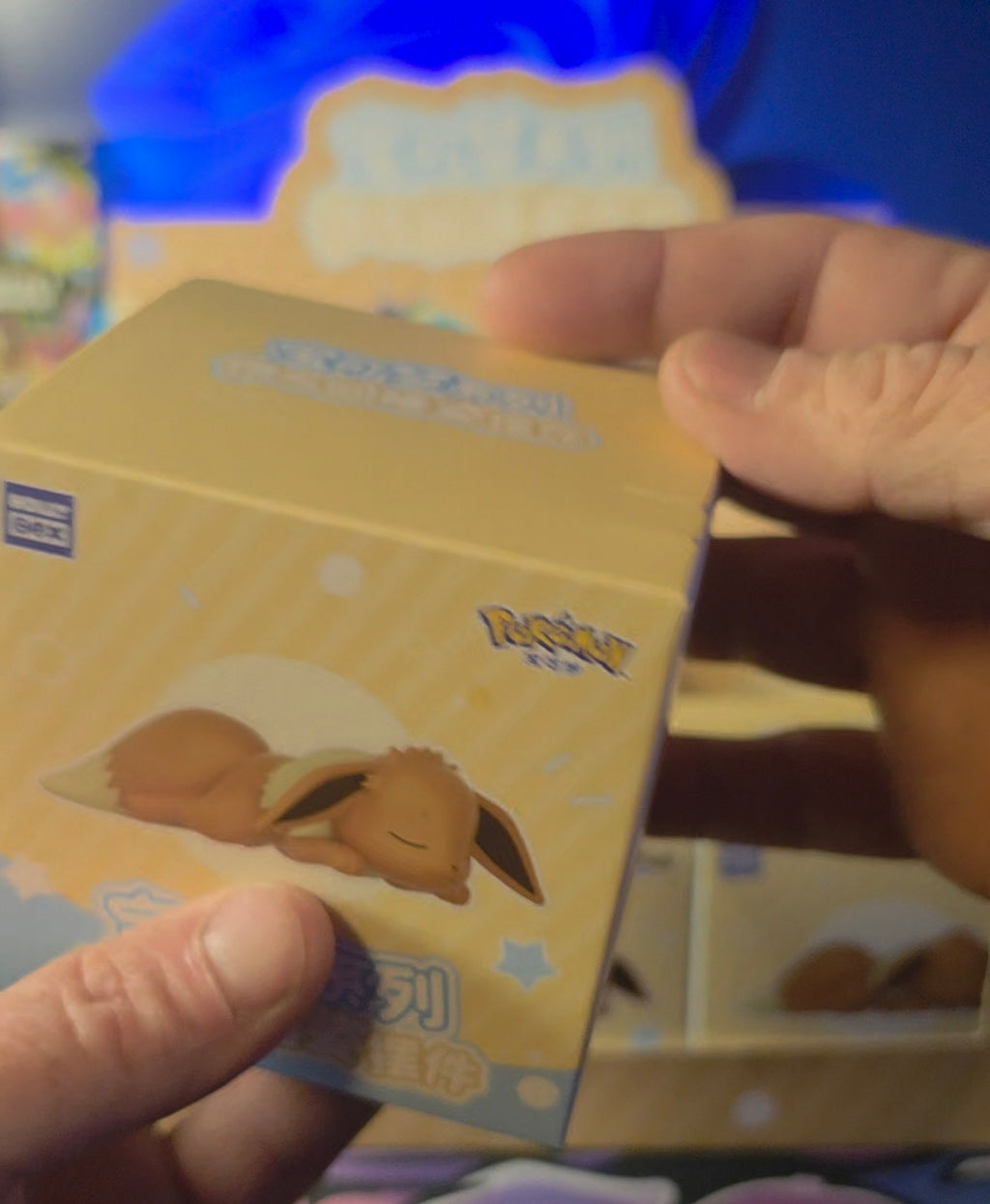 Evee Mystery Box