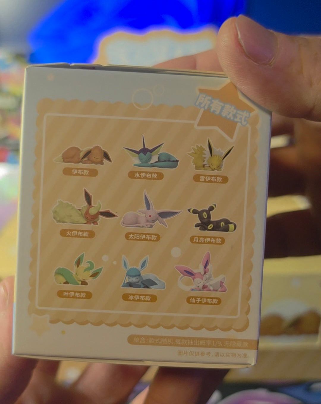 Evee Mystery Box